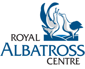 VISIT THE WORLD'S ONLY MAINLAND ALBATROSS COLONY